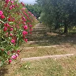 Castellara