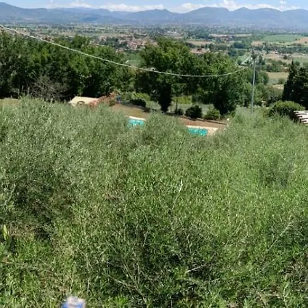 Castellara בוואניה