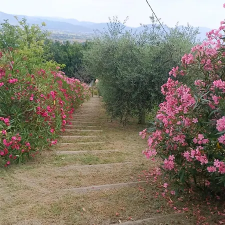 Castellara Apartamento Bevagna