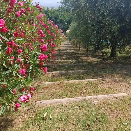 Castellara